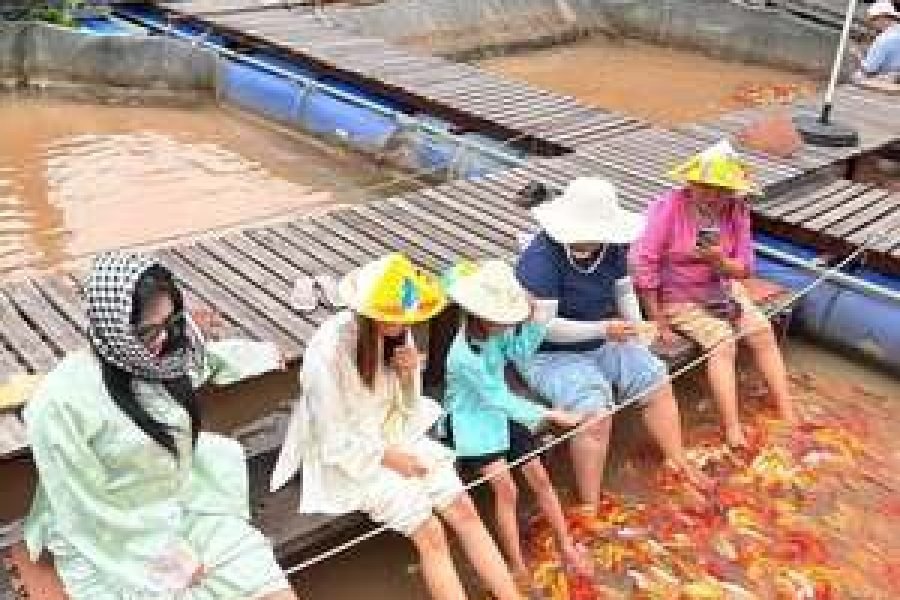 TOUR CỒN SƠN – CẦN THƠ